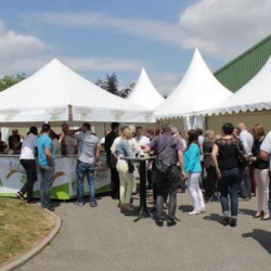 Barbecue Annuel